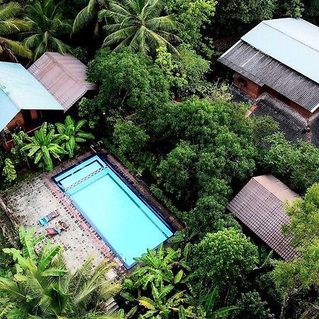 Sun And Green Eco Lodge - 丹不拉 外观 照片