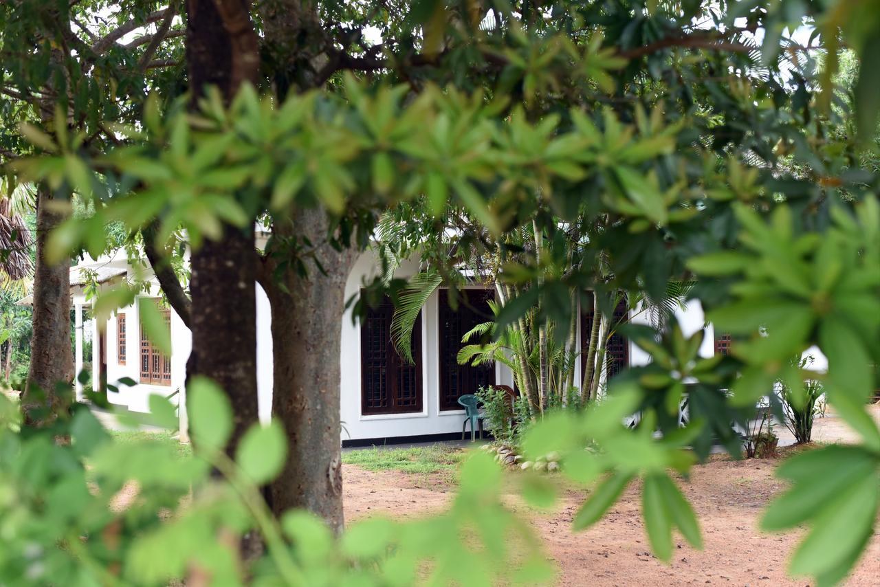 Sun And Green Eco Lodge - 丹不拉 外观 照片