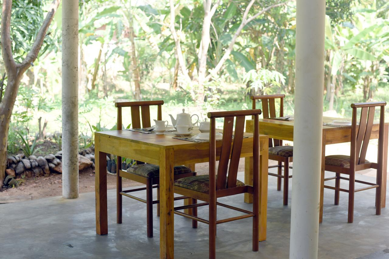 Sun And Green Eco Lodge - 丹不拉 外观 照片