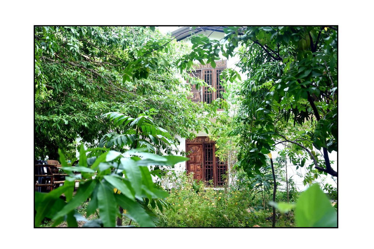 Sun And Green Eco Lodge - 丹不拉 外观 照片
