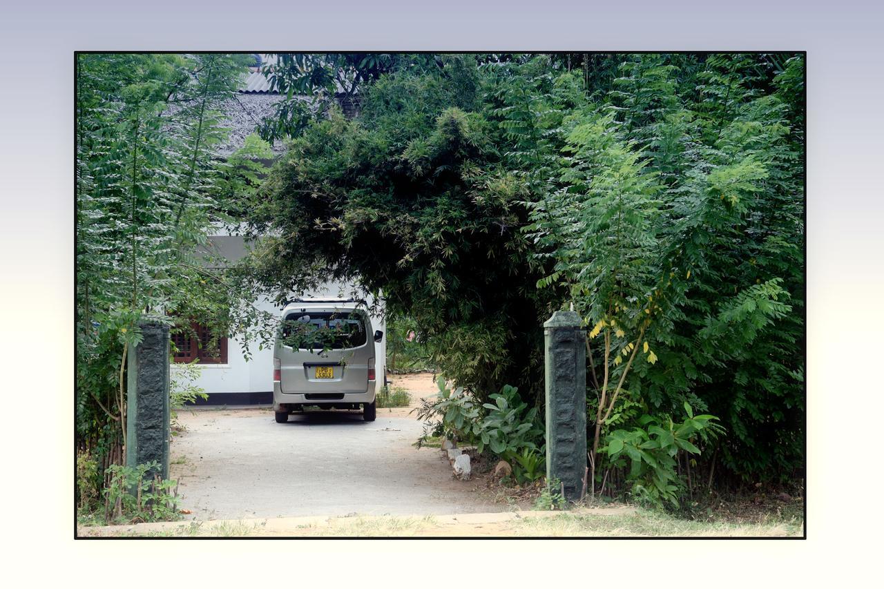 Sun And Green Eco Lodge - 丹不拉 外观 照片