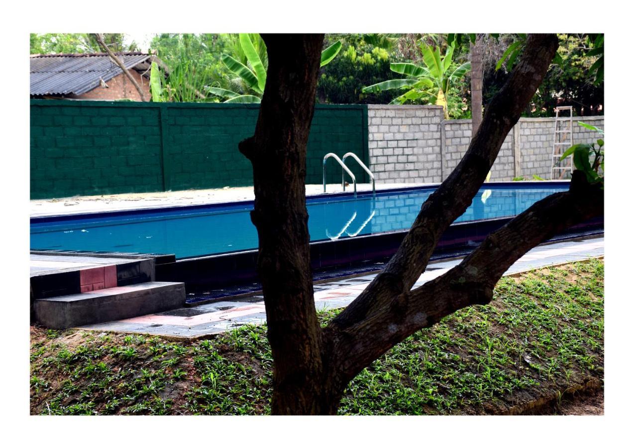 Sun And Green Eco Lodge - 丹不拉 外观 照片