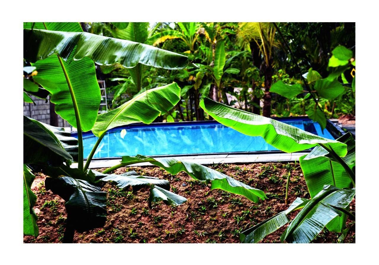 Sun And Green Eco Lodge - 丹不拉 外观 照片