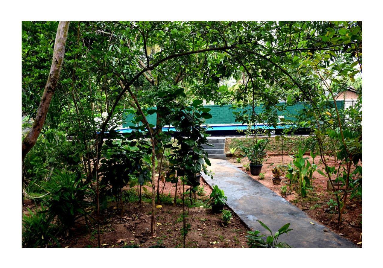 Sun And Green Eco Lodge - 丹不拉 外观 照片