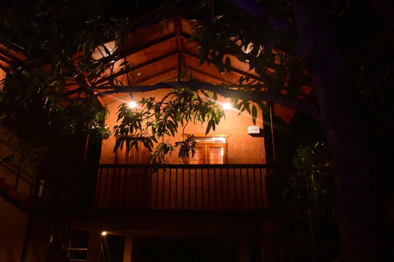Sun And Green Eco Lodge - 丹不拉 外观 照片
