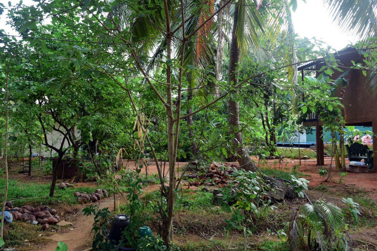Sun And Green Eco Lodge - 丹不拉 外观 照片